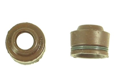 Valve Seal